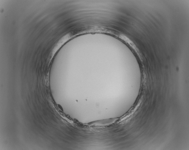 X0000062141097200601060917