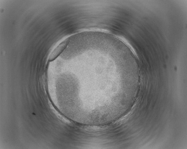 X0000062141100200601060917