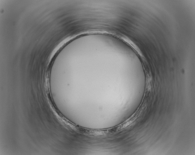 X0000062141101200601060917