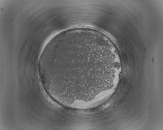 X0000062141102200601060917