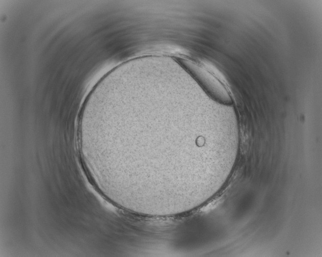 X0000062141103200601060917