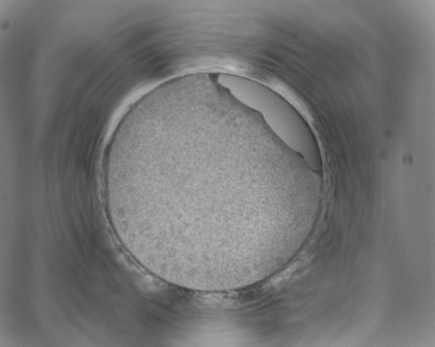 X0000062141104200601060917