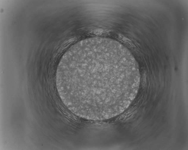 X0000062141105200601060916