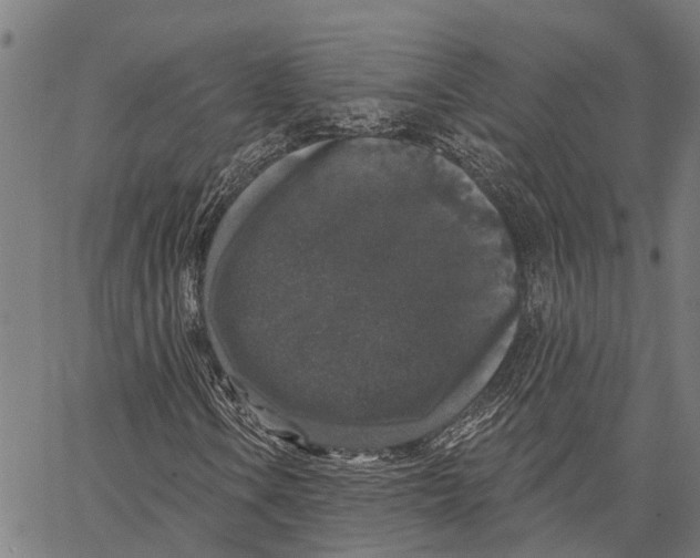 X0000062141106200601060916