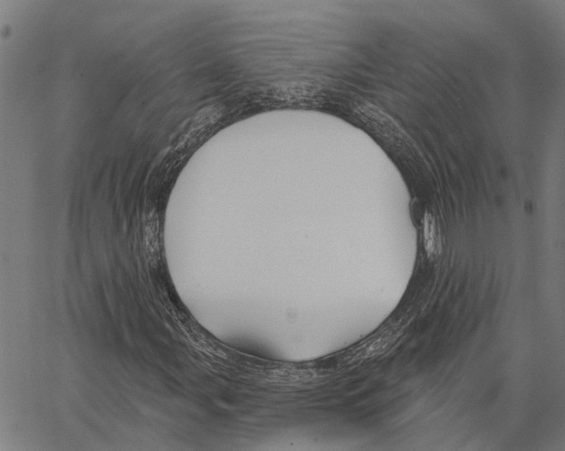 X0000062141107200601060916