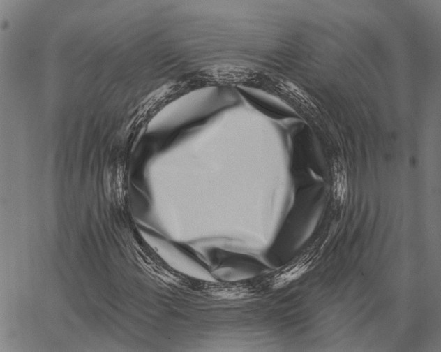 X0000062141108200601060916