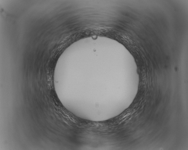 X0000062141109200601060916