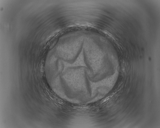 X0000062141110200601060916