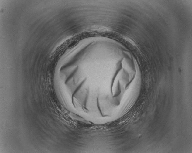 X0000062141112200601060916