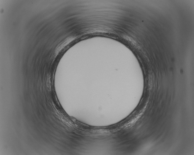 X0000062141113200601060916