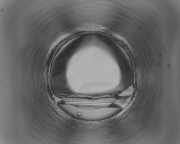 X0000062141114200601060916