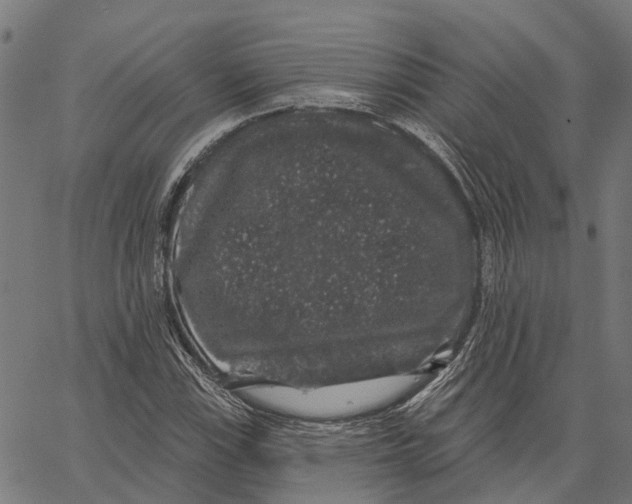 X0000062141115200601060916