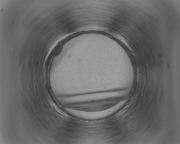 X0000062141116200601060916