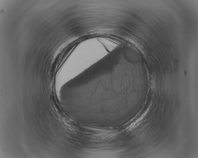 X0000062141117200601060916