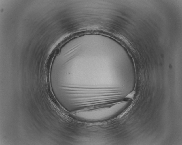 X0000062141118200601060916