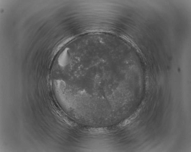 X0000062141121200601060916