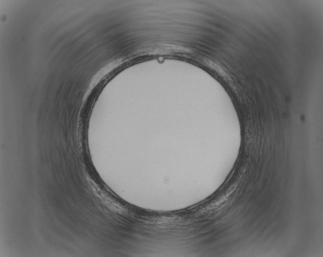 X0000062141122200601060916