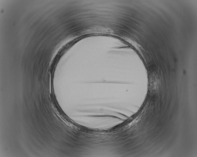 X0000062141123200601060916