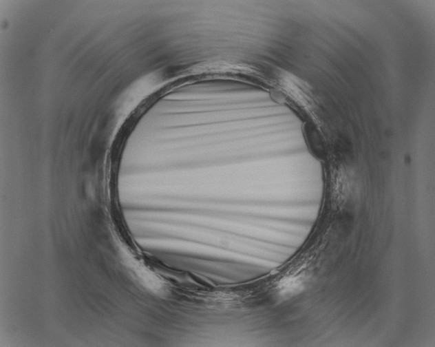 X0000062141124200601060916