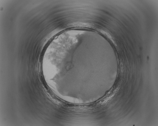 X0000062141125200601060916