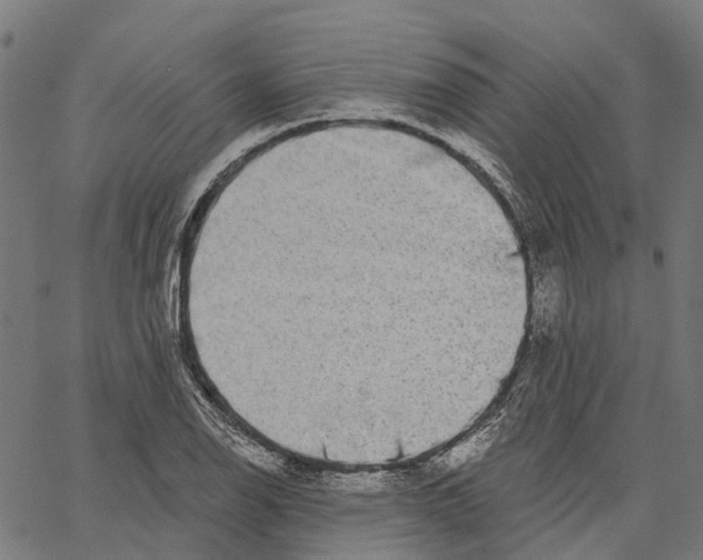 X0000062141126200601060916