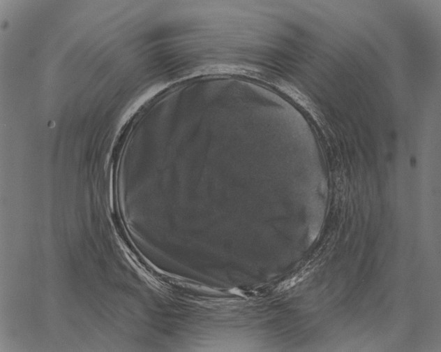 X0000062141127200601060916