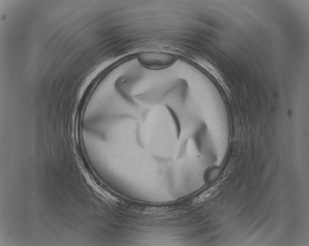 X0000062141128200601060916