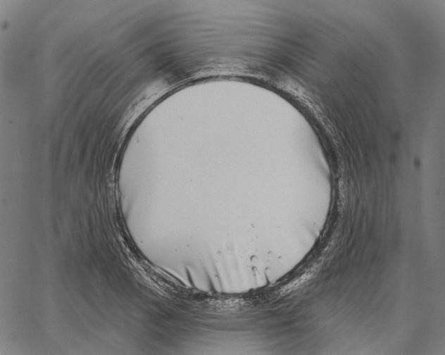 X0000062141129200601060916