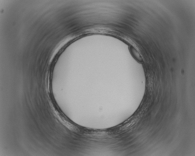 X0000062141131200601060916