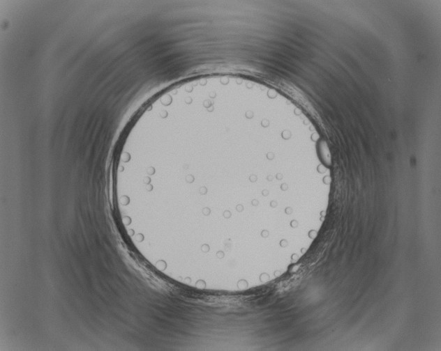 X0000062141132200601060916