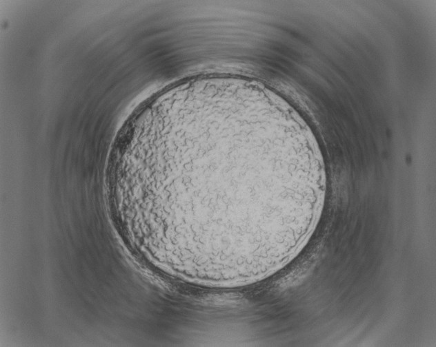 X0000062141133200601060916