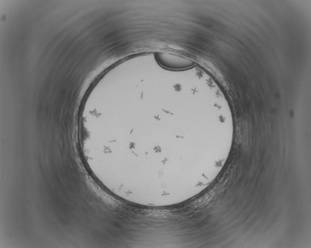 X0000062141136200601060916