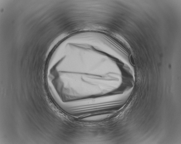 X0000062141138200601060916