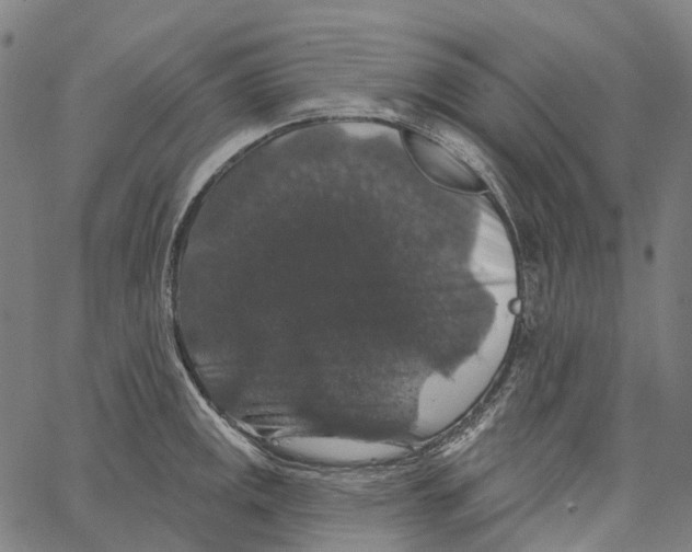 X0000062141141200601060916