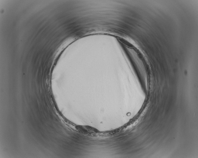 X0000062141145200601060916