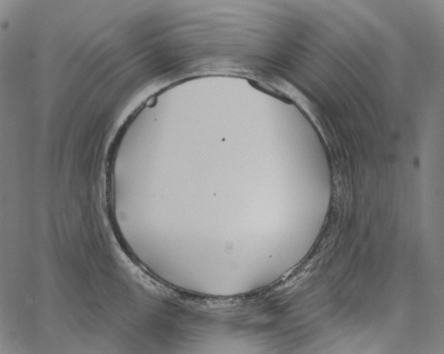 X0000062141147200601060916