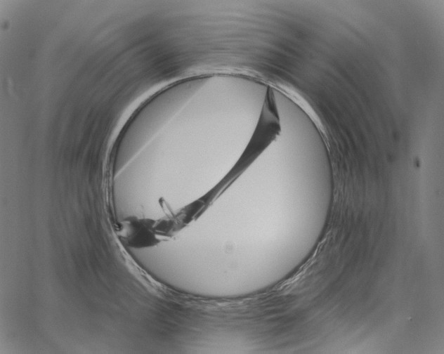 X0000062141148200601060916