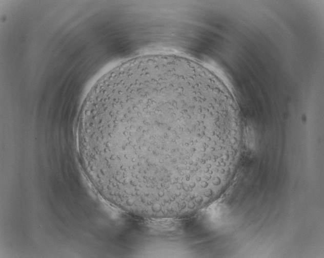 X0000062141150200601060916