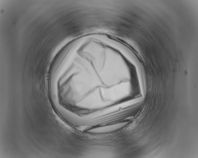 X0000062141151200601060917