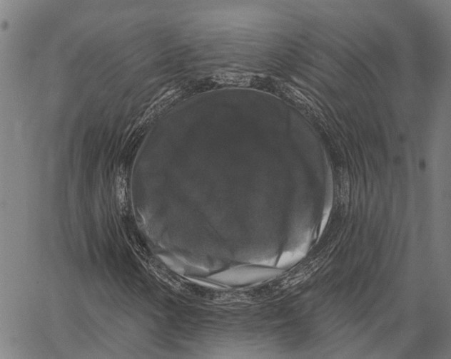 X0000062141154200601060916