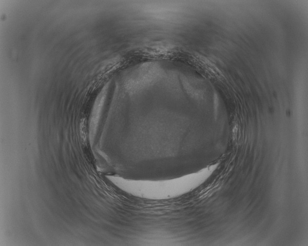 X0000062141156200601060916