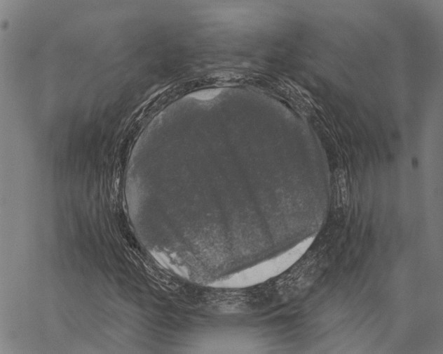 X0000062141158200601060916