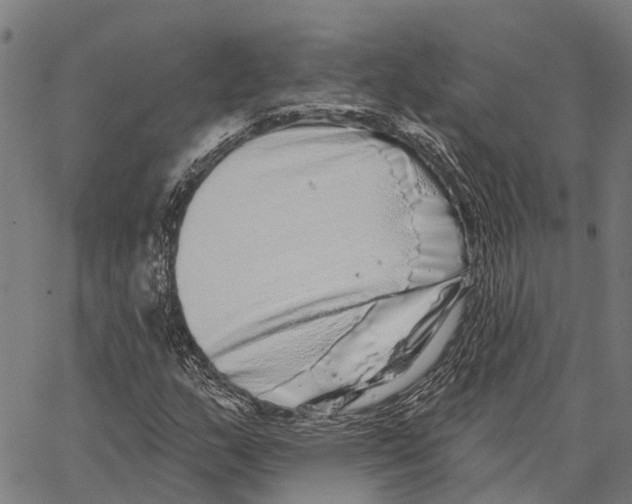 X0000062141159200601060916