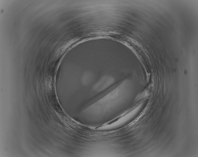 X0000062141161200601060916