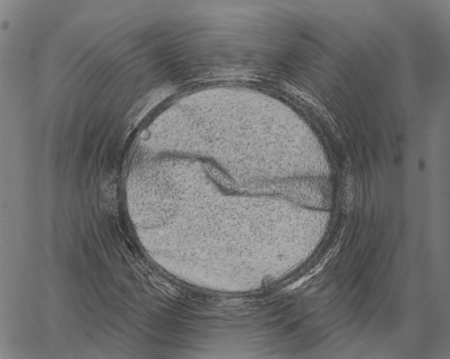 X0000062141162200601060916