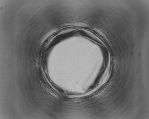 X0000062141163200601060916