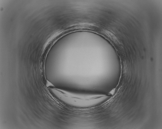 X0000062141164200601060916