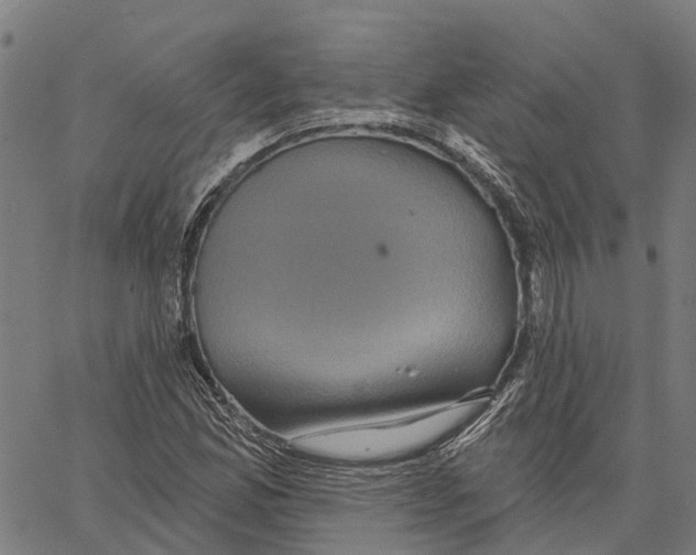 X0000062141165200601060916