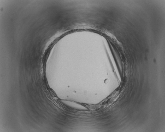 X0000062141167200601060915