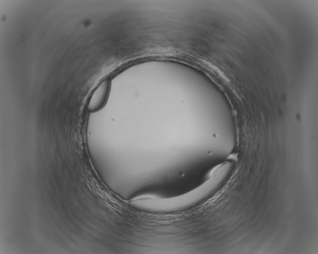 X0000062141168200601060915